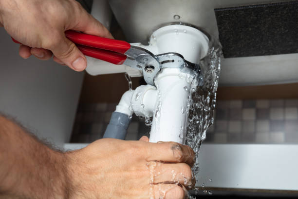 Best Flood damage cleanup  in Ogdensburg, NY