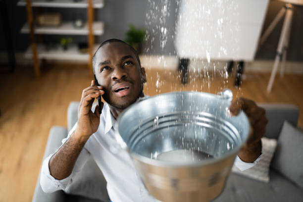 Best Water damage cleanup near me  in Ogdensburg, NY