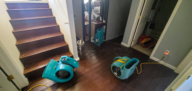 Best Fire Damage Restoration  in Ogdensburg, NY