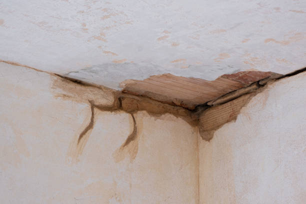 Best Ceiling water damage repair  in Ogdensburg, NY