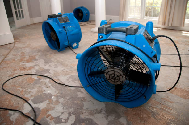 Best Water damage contractors near me  in Ogdensburg, NY