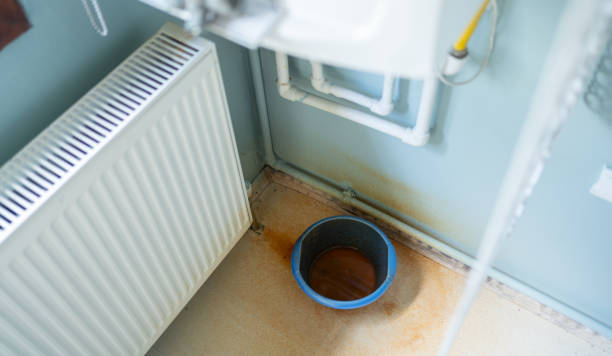 Best Mold removal after water damage  in Ogdensburg, NY
