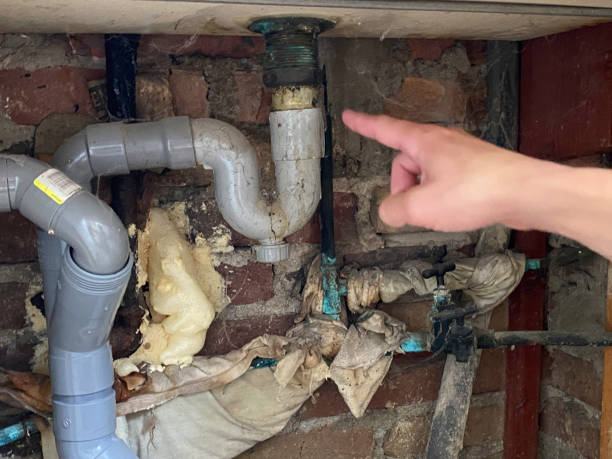 Best Water damage restoration process  in Ogdensburg, NY