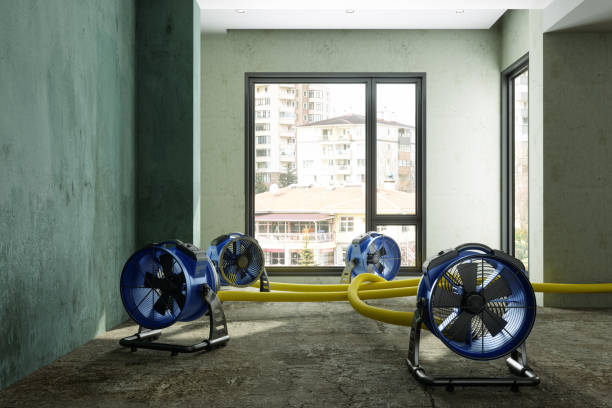 Best Professional water damage repair  in Ogdensburg, NY